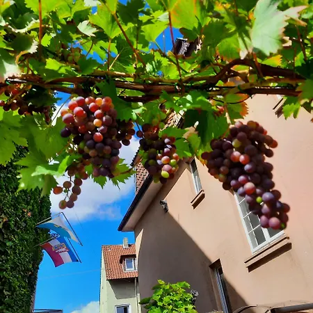 Moltkestrasse 89 Lejlighed Hildesheim Eksteriør billede